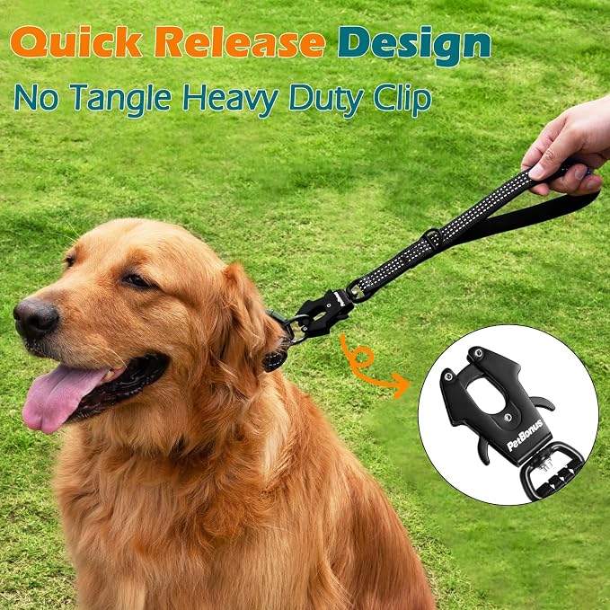 PetBonus Heavy Duty 12 Inch Short Dog Leash and 2-Pack Large Silicone Collapsible Dog Bowls
