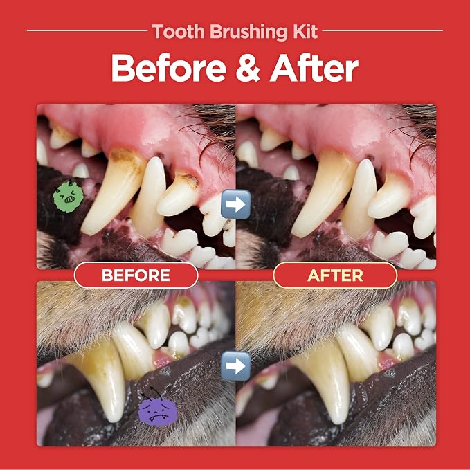 JAYU PET Firm Bristles Tooth Brushing Kit - Dental Gel 1ea + Dental Care Brush 1ea | Teeth Cleaning & Breath Freshener, Removing Plaque and Tartar, Pet Dental Hygiene, Dog Easy Teeth Brushing
