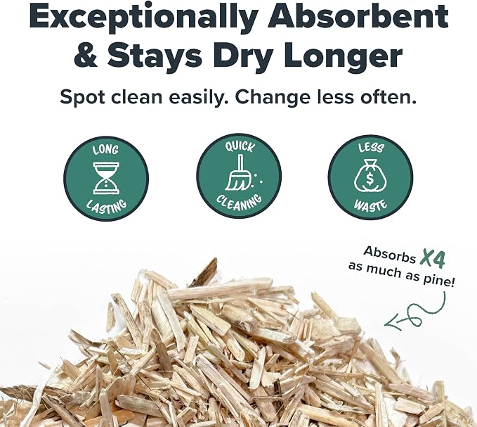 All Walks | Hemp Bedding for Small Animals, 4 x 10L Bags 40L Total (8 LBS) | Low Dust, Odor Control, Highly Absorbent, Natural Cage Bedding for Rabbits, Guinea Pigs, Hamsters, Birds and More