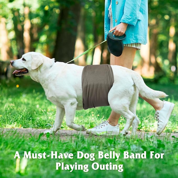 5 Pack Dog Diapers Male Reusable, Premium Belly Bands for Male Dogs, High Absorbing Male Dog Pee Wraps for Doggie in Incontinence or Excitable Urination and Training,Light Gray,XXL