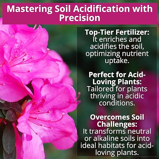 GARDENWISE 8-4-8 Acidic Fertilizer for Azaleas, Camellias (Camelia), Hydrangeas, Blueberries, Gardenias, Magnolia Trees, Evergreens, and Rhododendrons - Ideal Iron-Rich Plant Food (12 OZ)