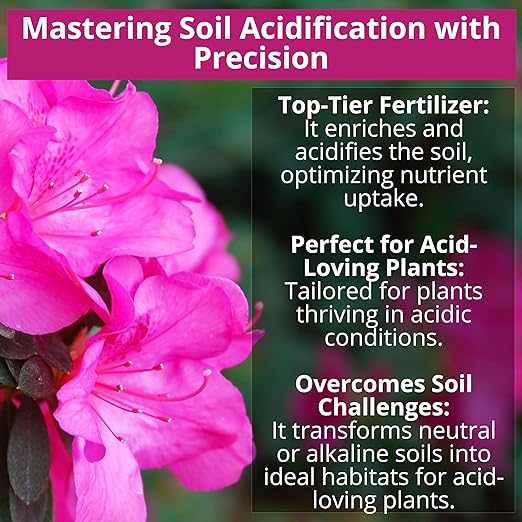 GARDENWISE 8-4-8 Acidic Fertilizer for Azaleas, Camellias (Camelia), Hydrangeas, Blueberries, Gardenias, Magnolia Trees, Evergreens, and Rhododendrons - Ideal Iron-Rich Plant Food (3 QUARTS)