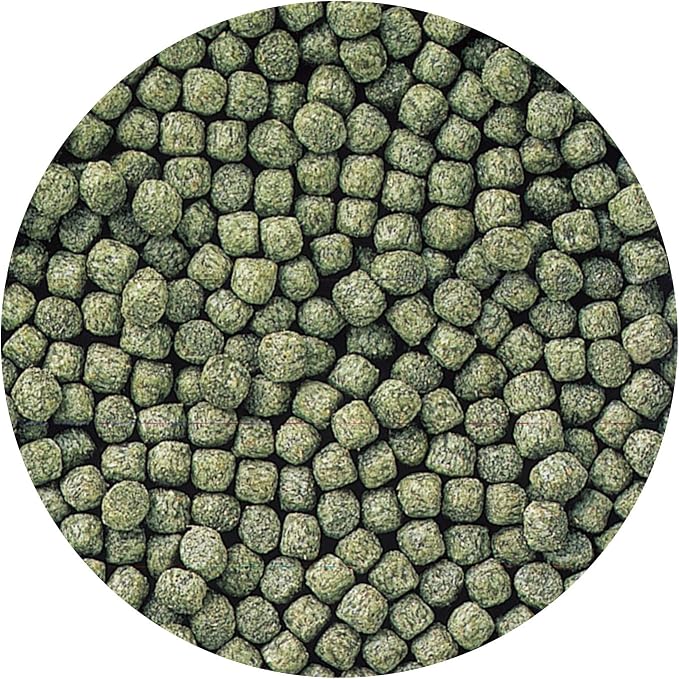 Hikari Staple Fish Food for Koi and Other Pond Fishes, Mini Pellets, 22 lb. (10 kg)