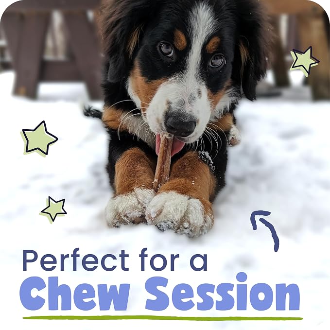 Pawstruck All-Natural 4" Bully Stick Rings for Dogs - Rawhide-Free, 100% Beef, Single Ingredient Dental Chew Bones - Fully Digestible, Low Odor - 3 Pack - Packaging May Vary