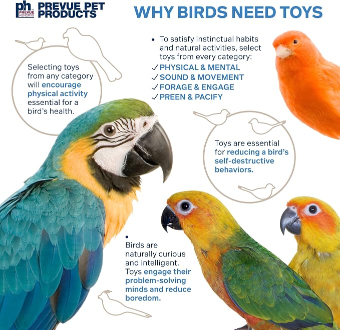Prevue Pet Products Preen & Pacify Calypso Creations Dagwood Bird Toy - Accessories for Medium to Large Birds, Hanging Birdcage Accessory for Shredding, Pulling, Pecking, and Interactive Engagement