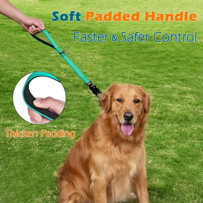 PetBonus Heavy Duty 18 Inch Short Dog Leash and 2-Pack Large Silicone Collapsible Dog Bowls
