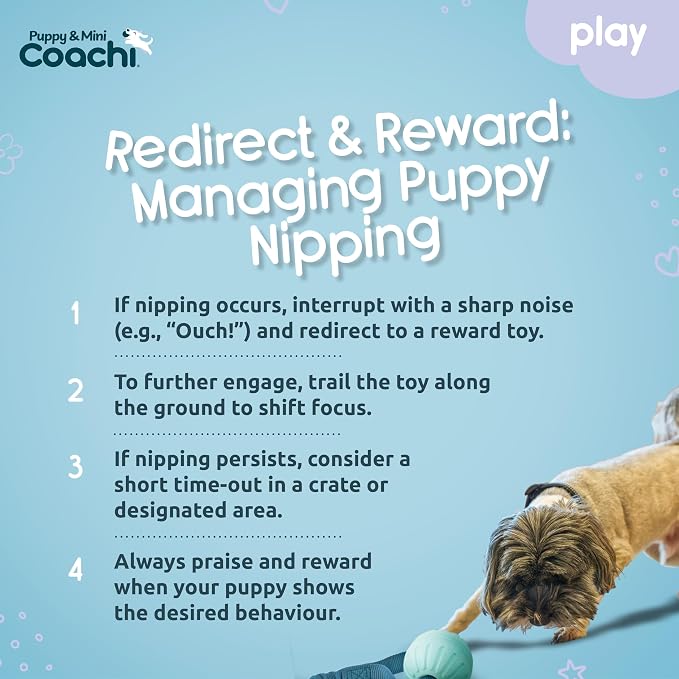 Coachi Puppy & Mini Tuggi Ball - Lightweight, Tough Dog Toy, Stretchy Bungee Handle, Reward Training, Agility, Recall, Interrupt Biting & Chewing, Suitable for Small Dogs & Puppies