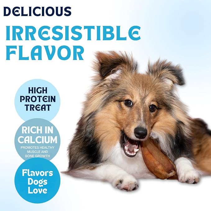 Dog Treat Variety Box - Variety Box Consists of 5 Pig Ears, 3 Yak Cheese Chews, 3 Bully Sticks, 2 Cow Ears, and 1 Dog Bone - Long Last Dog Chew Treats - All Treats are 100% Natural