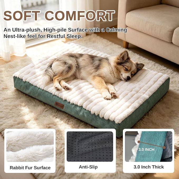 Orthopedic Dog Bed with Firm High-Density Egg Crate Foam,Soft Short Plush Surface Pet Beds,Machine Washable with Removable Cover & Non-Slip Bottom for Medium & Large Breeds (Green, 35"L x 22"W x 3"H)