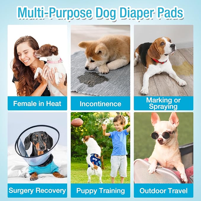Pet Soft Dog Diaper Liners - Disposable Dog Diaper Booster Pads for Male & Female Dogs fit Most Dog Wraps and Belly Bands Up-Graded (Blue, XL-40ct)