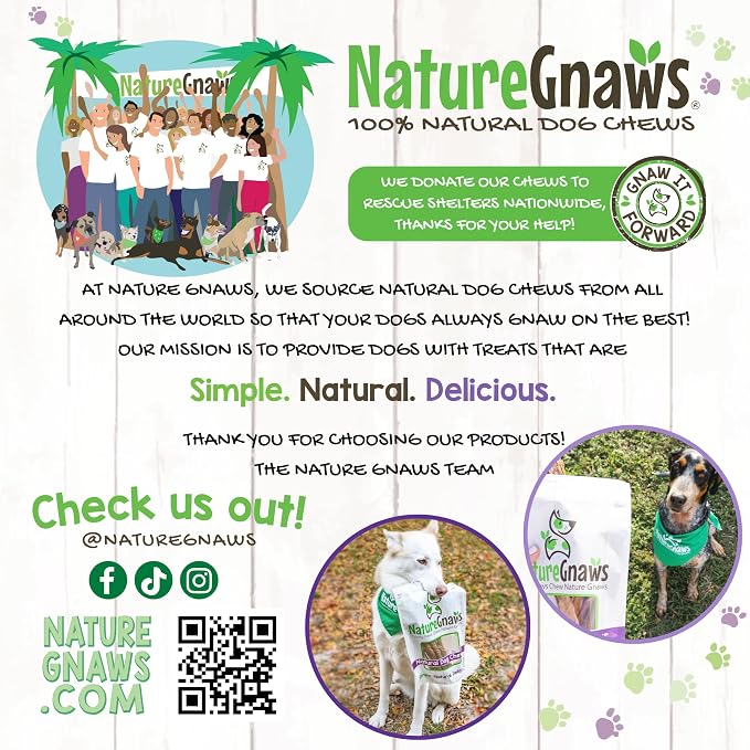Nature Gnaws Extra Large Bully Sticks for Dogs 5-6" (6 Count) - Thick Long Lasting for Aggressive Chewers and Heavy Chewers - Natural Beef Dog Chew Bones