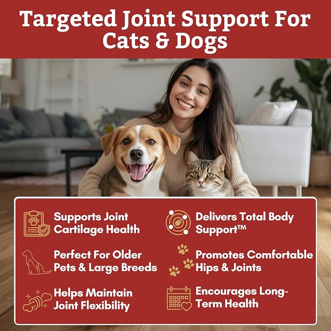 Wholistic Pet Organics Max Strength Hip and Joint Supplement for Dogs & Cats - Cat & Dog Joint Supplement Powder, Chondroitin & MSM to Support Mobility - Glucosamine for Dogs & Cats - 8 oz - 56 Scoops