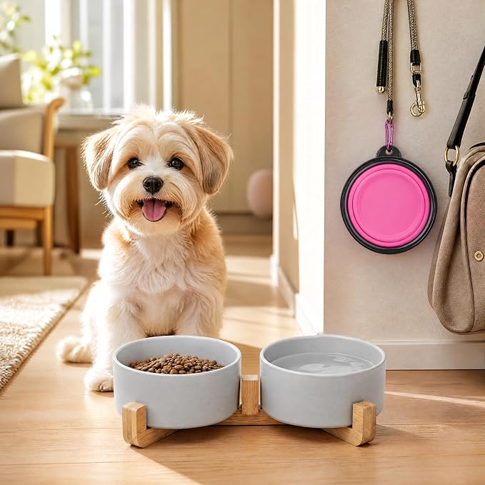 Petygooing Ceramic Dog Bowl Set with Wood Stand, Grey, 13.5OZ/5.1 in, Suitable for Cats & Small Dogs