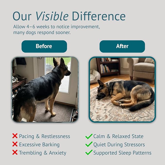 Calming Chews for Dogs - Dog Anxiety Relief and Calming Sleep Support with Theanine, Lemon Balm, Taurine & Inositol - Fireworks, Thunderstorms & Separation Anxiety - Made in USA - 60 Count