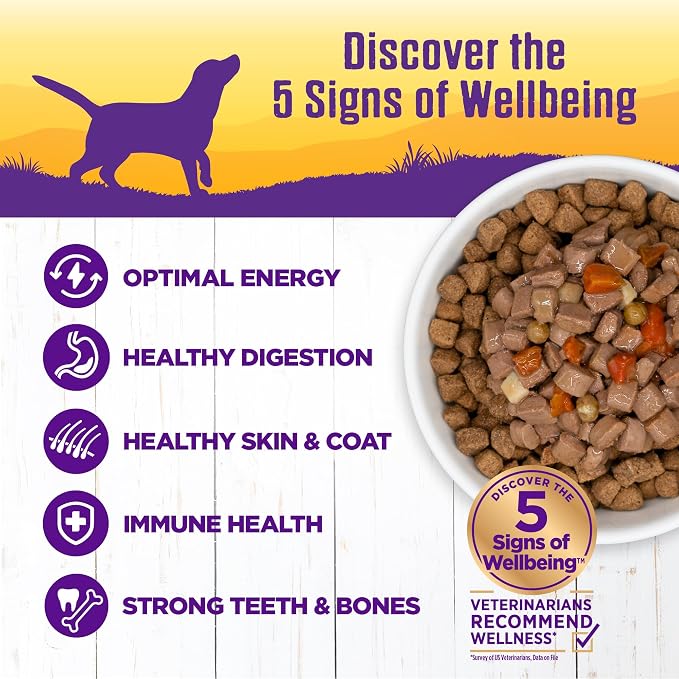 Wellness Complete Health Stew Adult Canned Wet Dog Food, Grain Free, Natural, Beef Recipe, 12.5 oz, Pack of 12 Cans