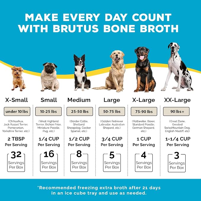 Brutus Beef Bone Broth for Dogs - All Natural Bone Broth with Chondroitin Glucosamine & Turmeric, Human Grade Food Toppers for Picky Eaters & Dry Food-Tasty & Nutritious, Pack of 12