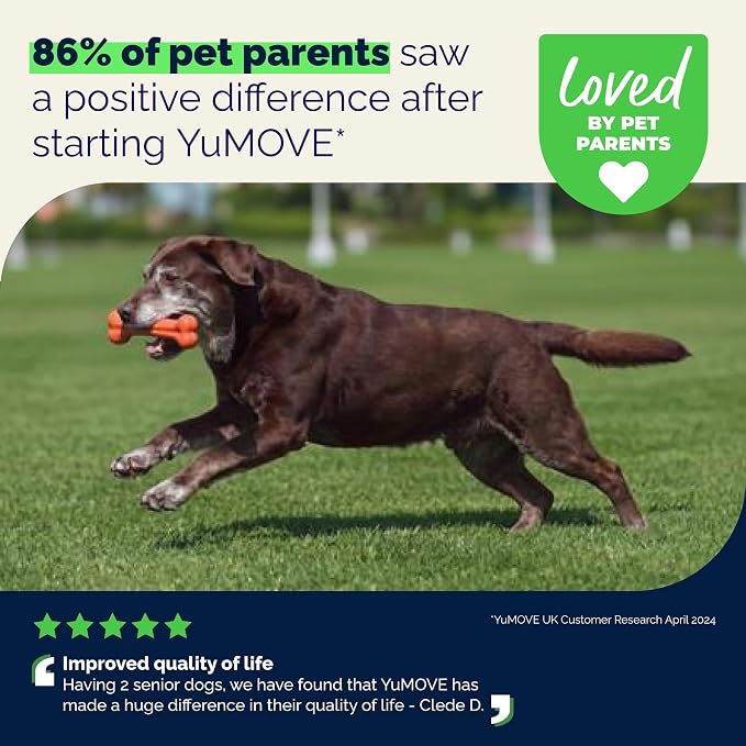 YuMOVE Hip & Joint Supplement for Dogs - with Glucosamine Chondroitin, Omega 3, Hyaluronic Acid, Green Lipped Mussel & Fish Oil for Dogs - Senior Dog Joint Supplement (Advanced Strength 120ct Chew)