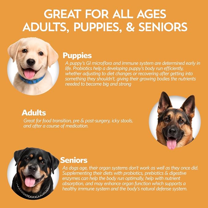 Pumpkin for Dogs with Probiotics, 7-Day Serving for Diet Changes & Upset Stomach, Smooth Move Probiotics for Dogs for Digestive Gut Health