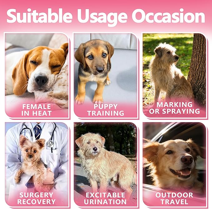 Female Dog Diapers,Disposable Dog Diapers,50 Count,X-Small,Super Absorbent Leak-Proof Diapers for Dogs in Heat,Excitable Urination,or Incontinence