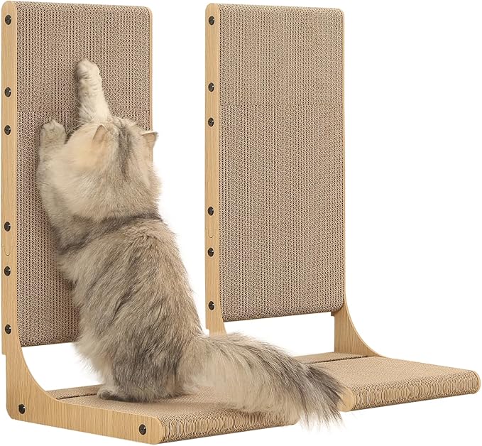 Zakkart Cat Window Perch and 2-Pack Cat Scratching Board, 2 Item Bundle