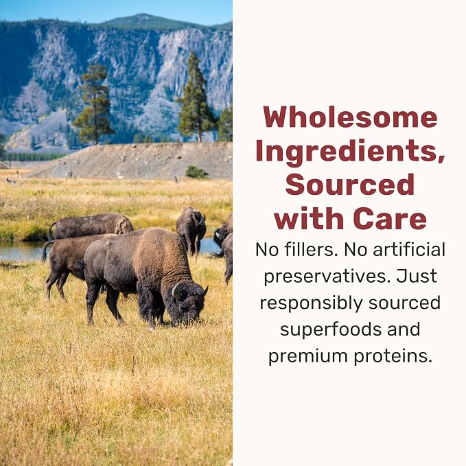 BADLANDS RANCH Superfood Nuggets – Freeze-Dried Raw Dog Treat & Food Topper, Nutrient-Dense Bison & Kale Formula, No Artificial Additives, 8oz Bags (4-Pack Bundle)