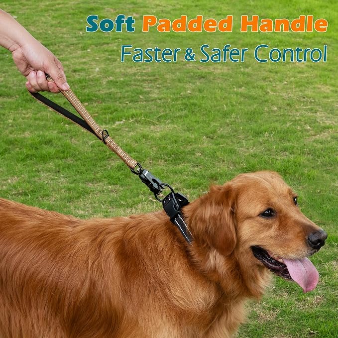 PetBonus Heavy Duty 12 Inch Short Dog Leash and 2-Pack Large Silicone Collapsible Dog Bowls