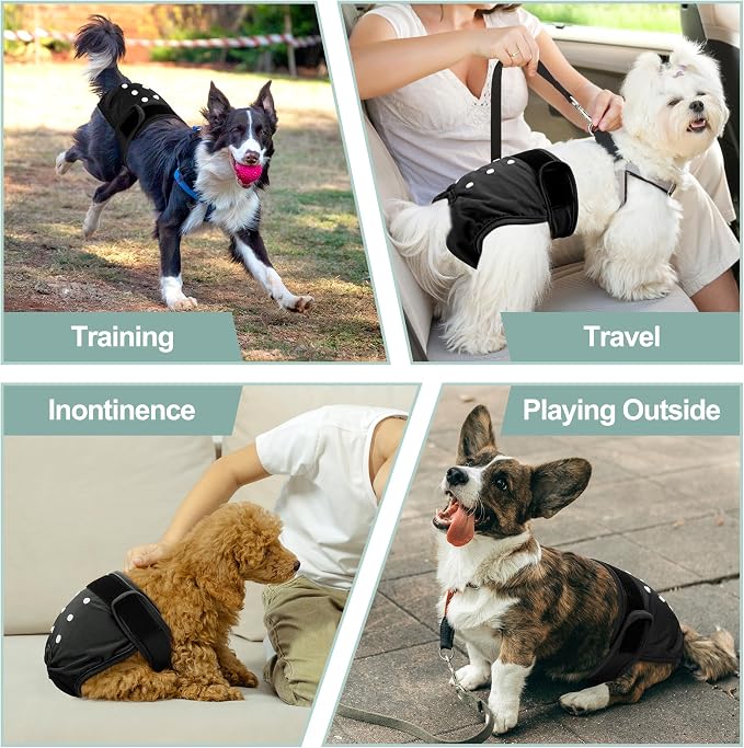 Female Dog Diapers 5Pcs - Premium Reusable Diapers for Doggie in Heat - Highly Absorbent Dog Diapers Female for Pet Incontinence with Adjustable Snaps, Black, XL
