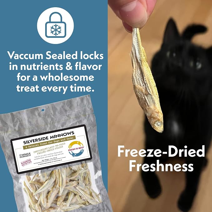 Fresh Is Best Silverside Minnows Freeze Dried Dog Treats – Raw Freeze Dried Cat Treats in Resealable Zipper Bag – High-Protein Minnows for Cats and Dogs – Made in the USA