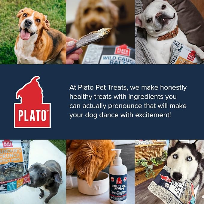 Plato Pet Treats Fish Dog Treats - Air-Dried, Single Ingredient Dog Treat - with Omega 3 & 6 Fatty Acids to Support Skin and Coat - 100% Whole Fish - Wild Caught Baltic Sprat Dog Treats - 7.5 oz