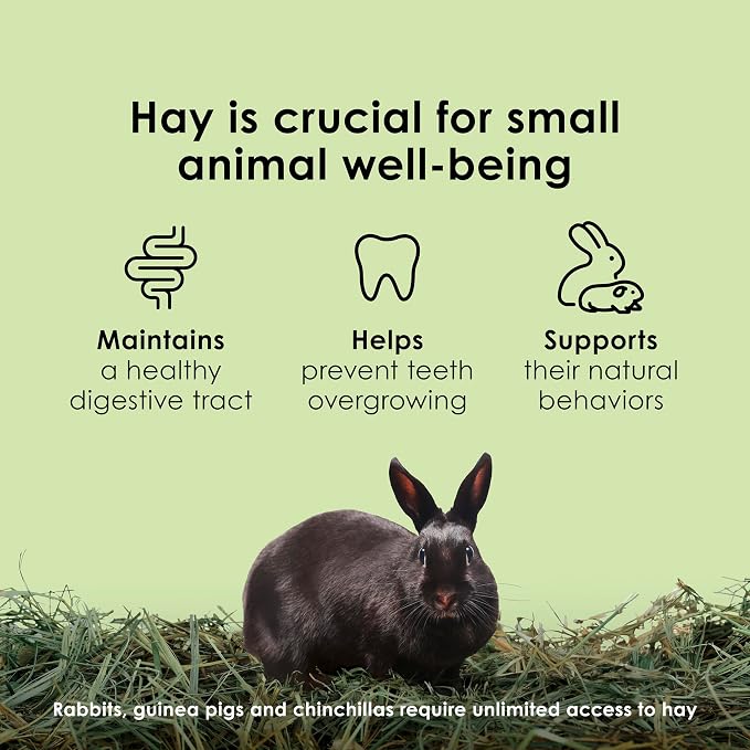 Kaytee Timothy Hay, High Fiber, Grown Specifically for Small Animals, Rabbits, Guinea Pigs, Chinchillas, 96 Ounces