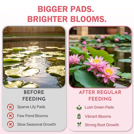 Aquatic Plant Fertilizer for Water Lilies & Lotus, Fish-Safe Water Lily Fertilizer Tablets for Pond Plants, Lotus Fertilizer & Pond Plant Food for Lush Pads, Strong Roots & Vibrant Blooms, 100 Count