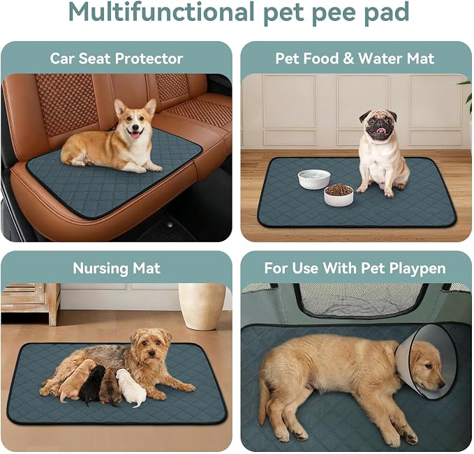 Siedihit Washable Reusable Pet Pee Pads, Absorbent Non-Slip Training Mat for Dog Cat Rabbit Puppy Kitten, Whelping Playpen Crate Bed Cage Home Indoor Outdoor (Medium - 4pack, Rectangle)