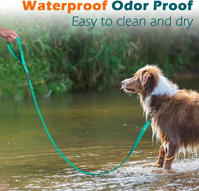 PetBonus 5 FT Waterproof Dog Leash and 2-Pack Silicone Collapsible Dog Bowls