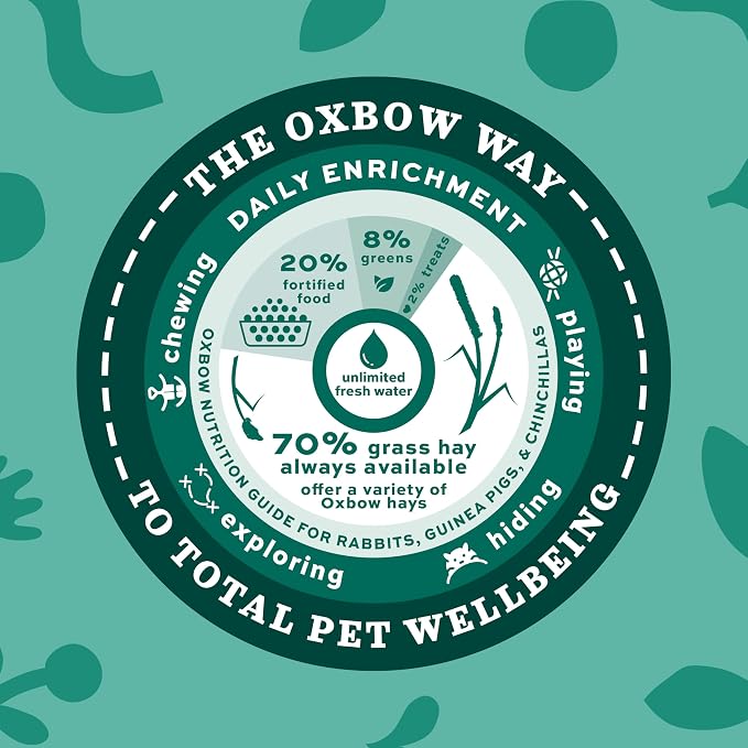 Oxbow Timothy Hay, Rabbit & Guinea Pig Hay, High Fiber for Digestive Health, Grown in The USA, Veterinarian Recommended Small Pet Supplies, Bulk Food for Rabbits, Guinea Pigs, & Chinchillas, 20 lbs