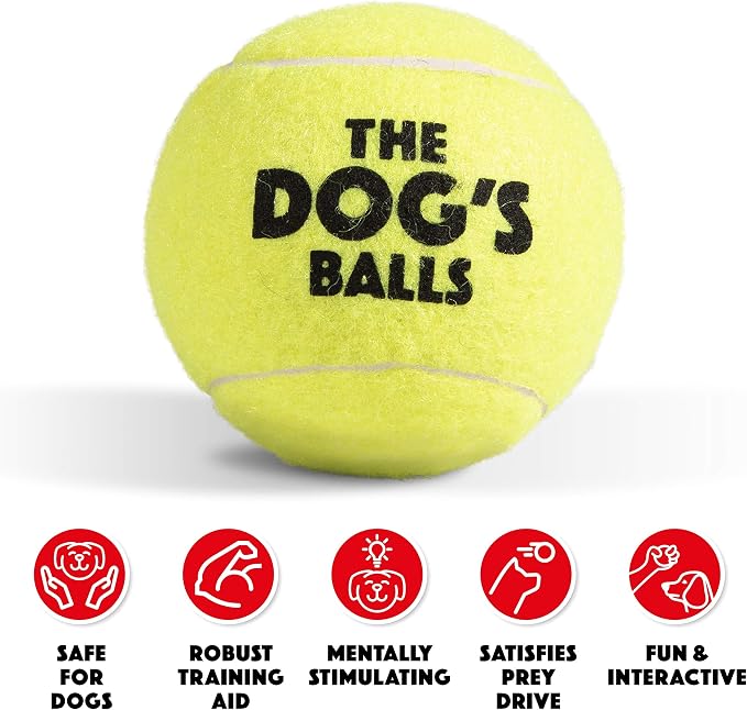 The Big Dog’s Balls Large Dog Tennis Balls 3-Pack Yellow Floats in Water | Our fetch balls combine non-abrasive felt exterior and a thicker rubber core Durable Dog Toy for Outdoor Play & Training