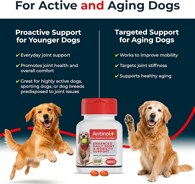Antinol Plus, Mobility, Hip, and Joint Supplement for Dogs, Green-Lipped Mussels and Krill Oil - Dog Joint Supplement, Better and Faster Than Glucosamine and Chondroitin, 150 Soft Gels