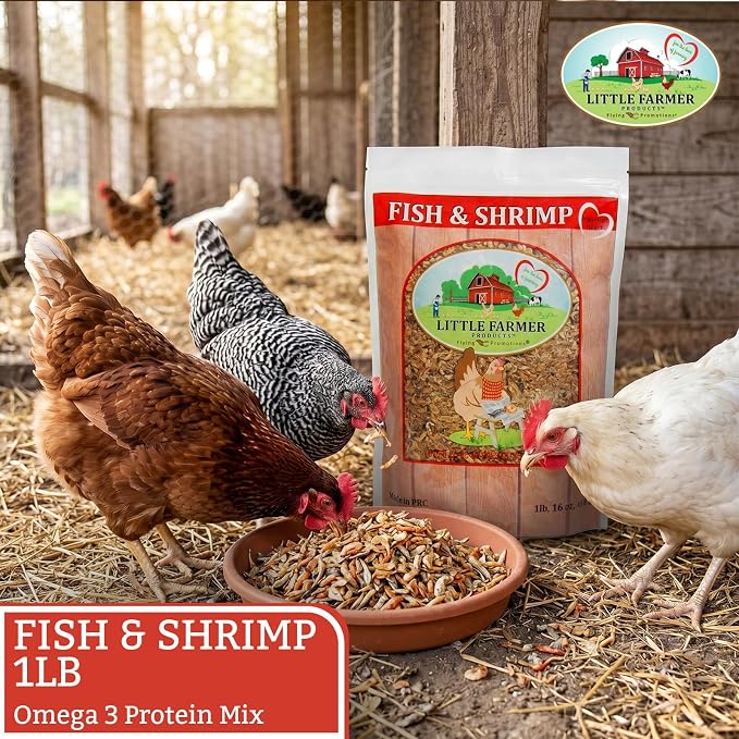 Fish & Shrimp Chicken Treats with Dried Shrimp and Freeze Dried Minnows, High Protein Chicken Snacks with Omega 3 and Calcium for Chickens and Ducks - 1 lb