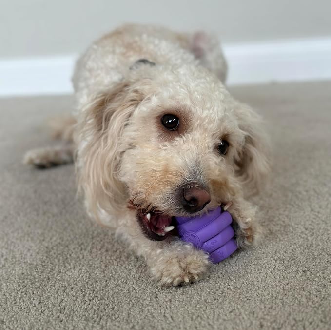 HIVE Parent (Calming Lavender, Hive Chew Toy for Small Dogs)