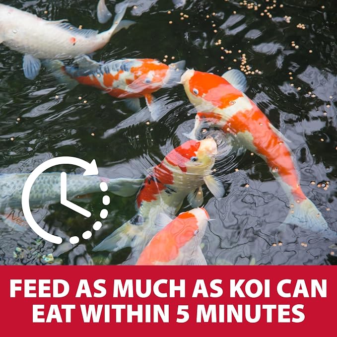 The Pond Guy Growth & Vibrance Fish Food for Show Quality Koi & Goldfish, Premium Protein Floating Pellets for Balanced Nutrition, 2 lbs