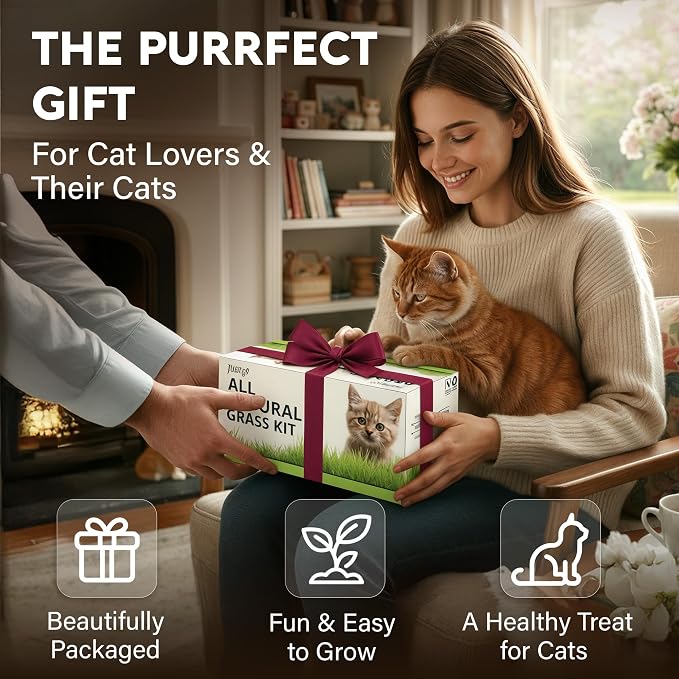 Cat Grass Kit for Indoor Cats – x4 Seed Packets | Cat Grass Seeds with Wooden Planter, Soil & Mini Gardening Tools for Nipping & Nibbling – Pet Wheatgrass Grass