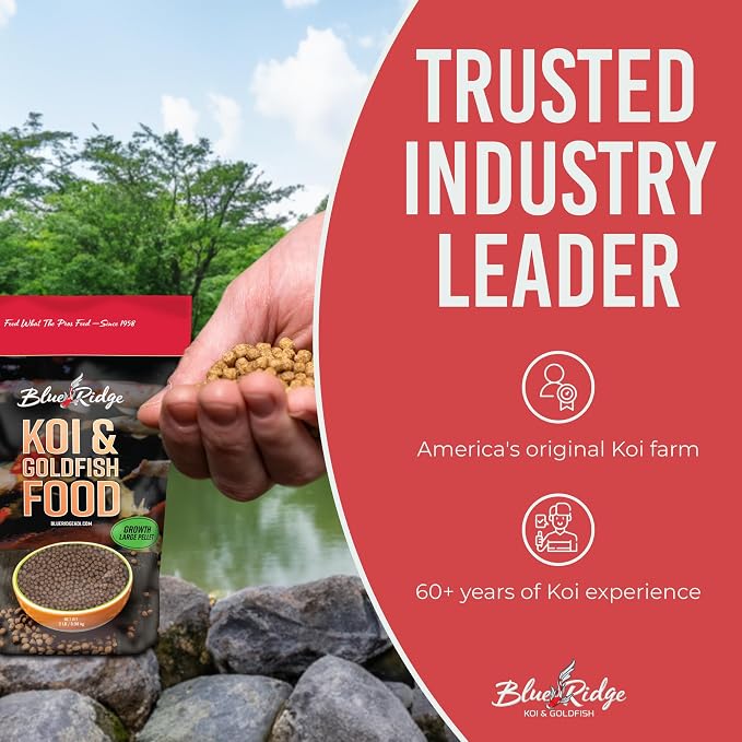 Blue Ridge Koi Fish Food 2lb - Koi Food Large 3/16" Growth Formula, Goldfish Food, Premium Fish Food for Ponds, Ponds Fish Food, Floating Pond Pellets