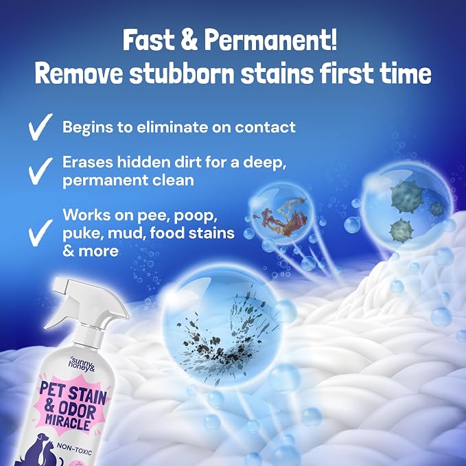 Sunny & Honey Pet Stain and Odor Remover - Enzyme Cleaner for Dog Urine and Poop on Carpets and Furniture - Strong Pet Carpet Cleaner Spray (32fl oz Lavender)