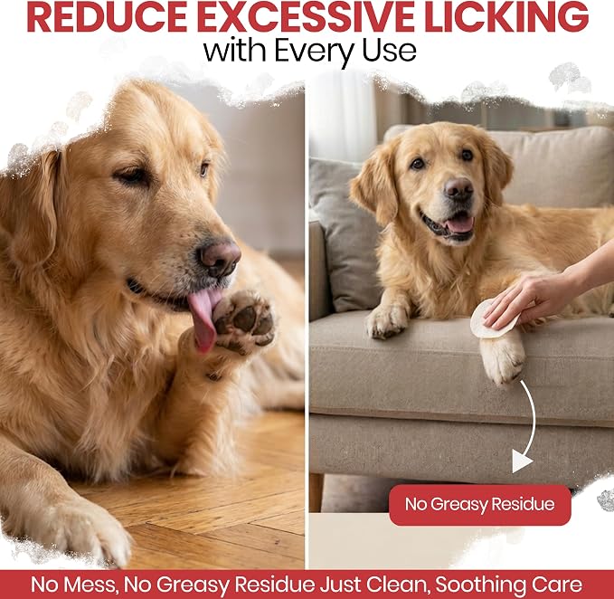 Chew + Heal Labs Dog Paw Wipes Antibacterial 100 Count - Antifungal Wipes for Dogs with 2% Chlorhexidine and 1% Ketoconazole - Good for All Breeds - Made in the USA
