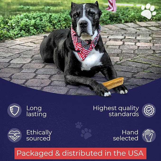 Devil Dog Pet Co. Himalayan Yak Cheese Dog Chews for Small to Medium Breeds & Aggressive Chewers - Long Lasting, Rawhide Free, High Protein - Cleaner Teeth, Anxiety & Boredom Relief - 8 Pack