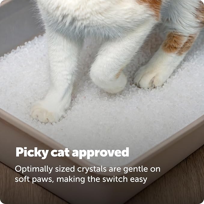 PetSafe ScoopFree Premium Crystal Cat Litter - Outperforms Clay Litter - Refill Packs - Reusable Tray Compatible - Fragrance Free - 4.3 lb Bags - 2 Pack