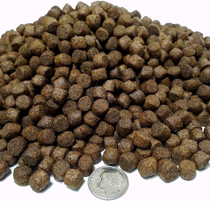 7.5mm - Cichlid 45% Protein Floating Pellets, for Cichlids, Discus, All Tropical Fish, Koi & Pond Fish. 12-Type Pellet Mix and Sinking Wafer Mix Included -1/2-lb