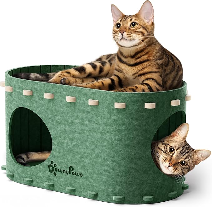 DownyPaws Cat House for Indoor Cats, Cat Bed Cave for Multiple & Large Cats Up to 22 Lbs, Scratch Resistant Peekaboo Cat Caves, Foldable Cat Tunnel Enclosed Bed, PeekaPurr, Sesame Gray and Forest