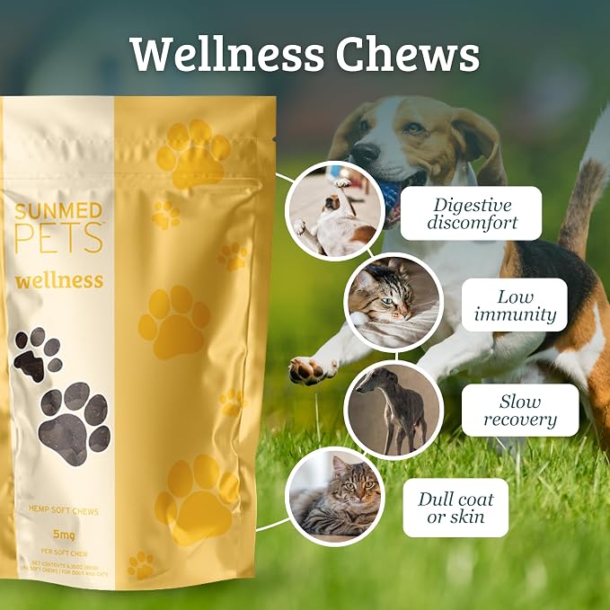 Sunmed Wellness Chew for Dogs with Pumpkin & Hemp Extract – Supports Digestive Health, Wellness & Balance – All-Natural, Safe & Tasty Chews for Dogs – 40ct