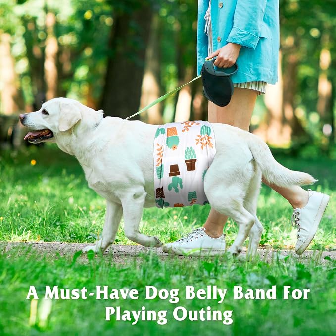 5 Pack Dog Diapers Male Reusable, Belly Bands for Male Dogs, High Absorbing Dog Pee Wraps for Doggie in Incontinence and Training Cactus L