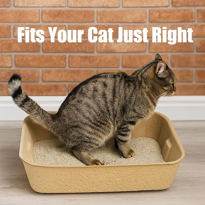JINVOGREEN Disposable Litter Boxes for Cats, 6 Pack Cat Litter Trays for Travel, Temporary Use, or Liner – Leak-Proof, Eco-Friendly, Easy Clean-Up (16.1" x 12.4" x 3.7")